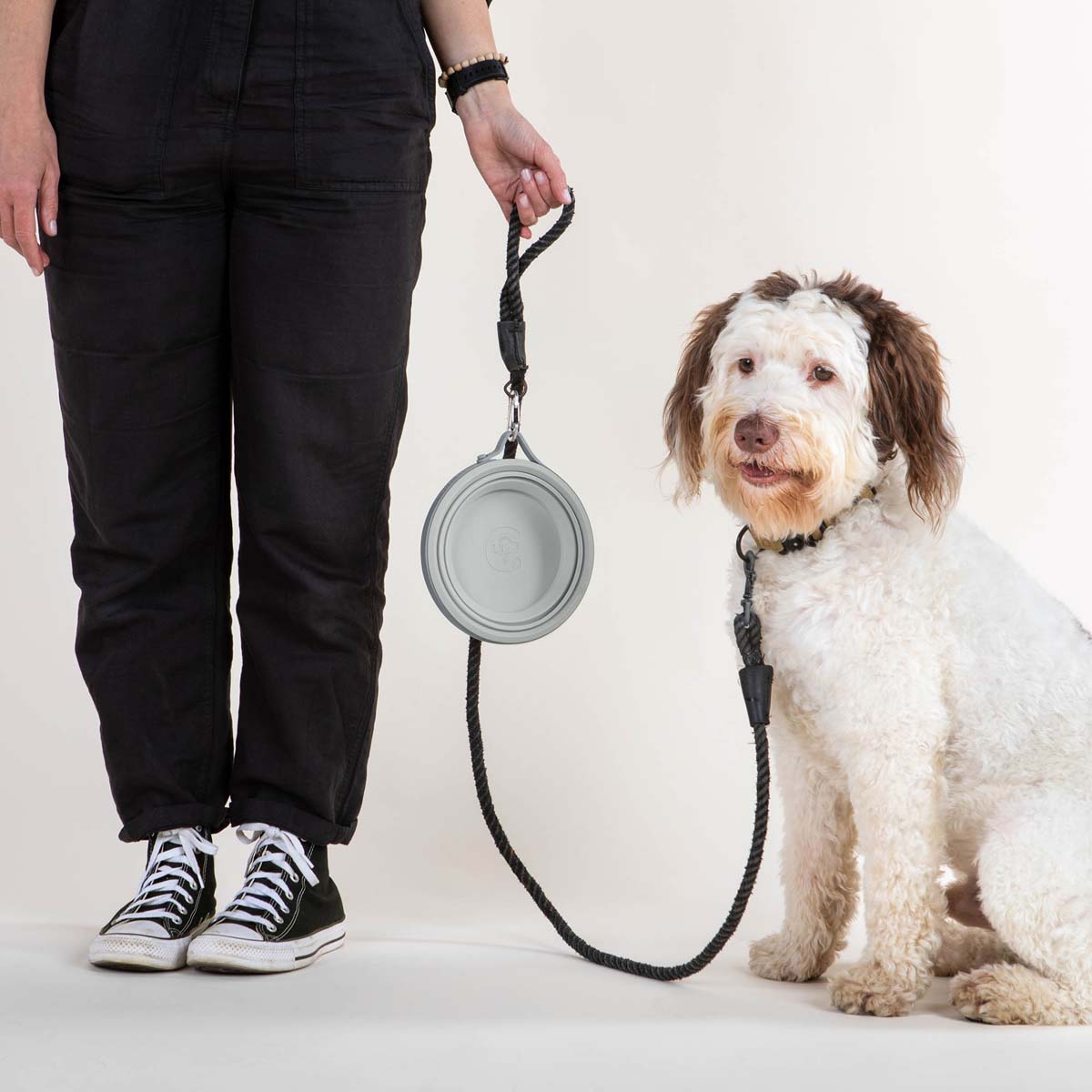 Travel Dog Bowl product image 12