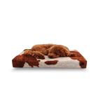Orthopedic Dog Bed product image 12