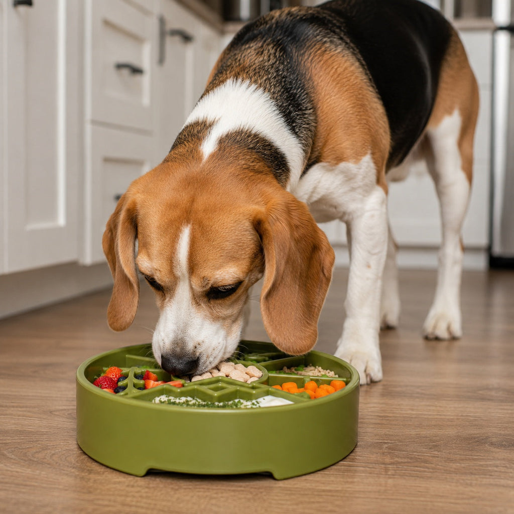 Slow Feeder Dog Bowl product image 12