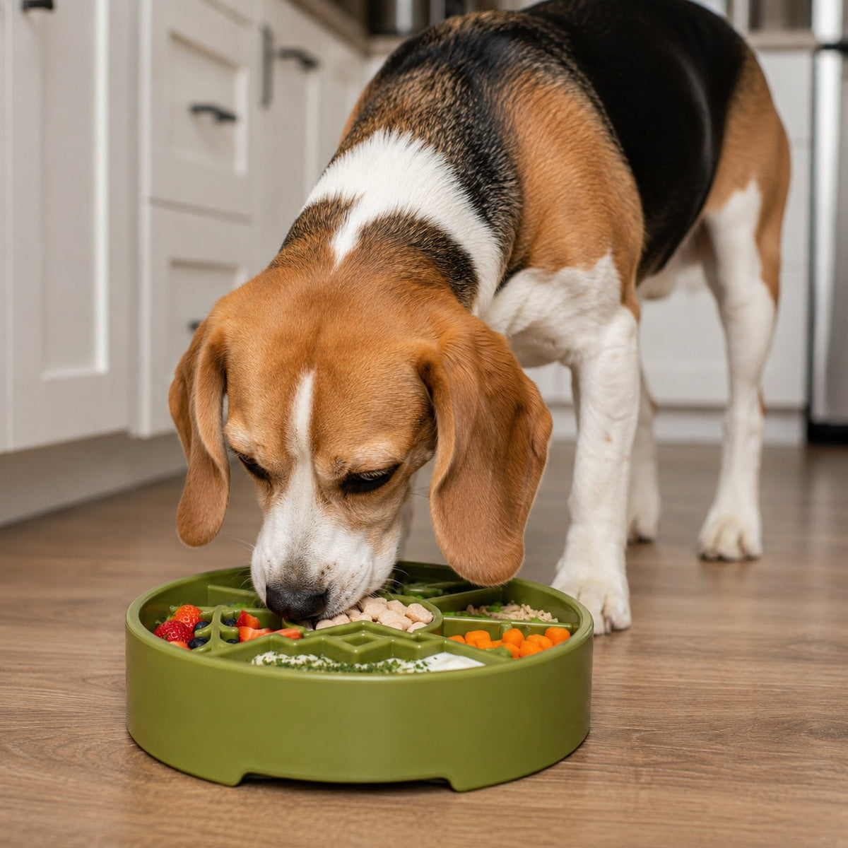 Slow Feeder Dog Bowl product image 12