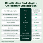 Smart Bird Feeder product image 12