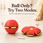 Transforming Pet Toy product image 12