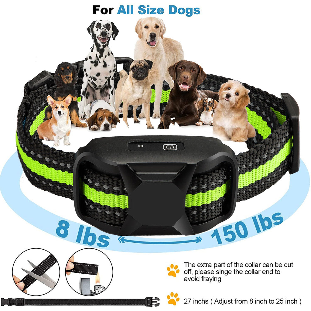 Dog Training Collar product image 12