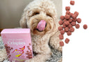 Training Treats product image 12