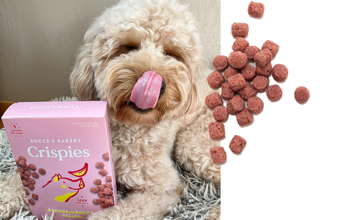 Training Treats product image 12