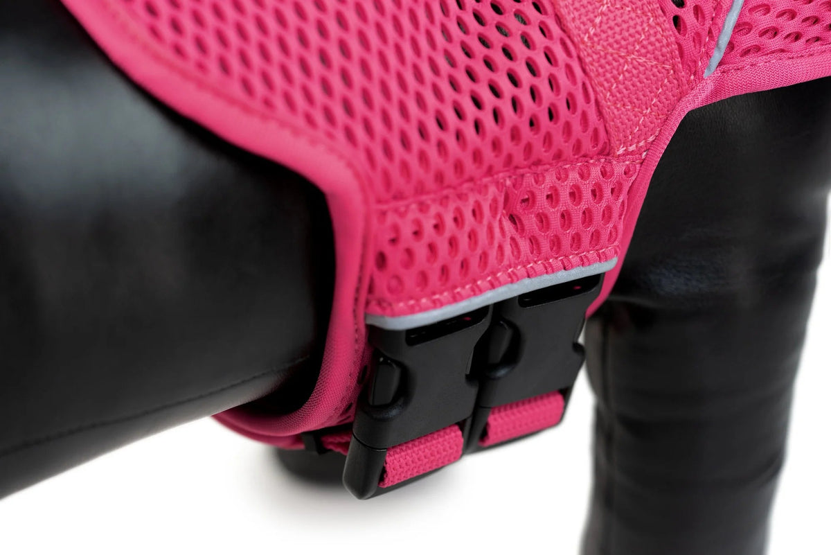 Dog Harness product image 12