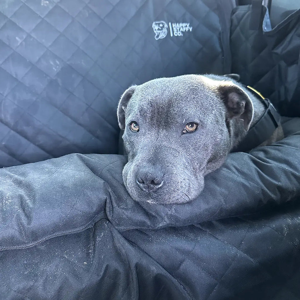 Dog Car Seat Cover product image 12