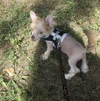 Reflective Mesh Small Pet Harness product image 12
