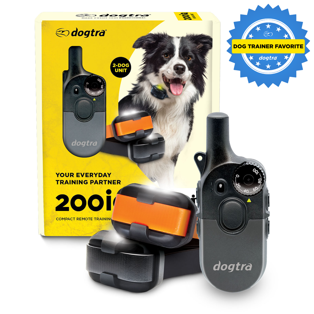 Dog Training Collar product image 12