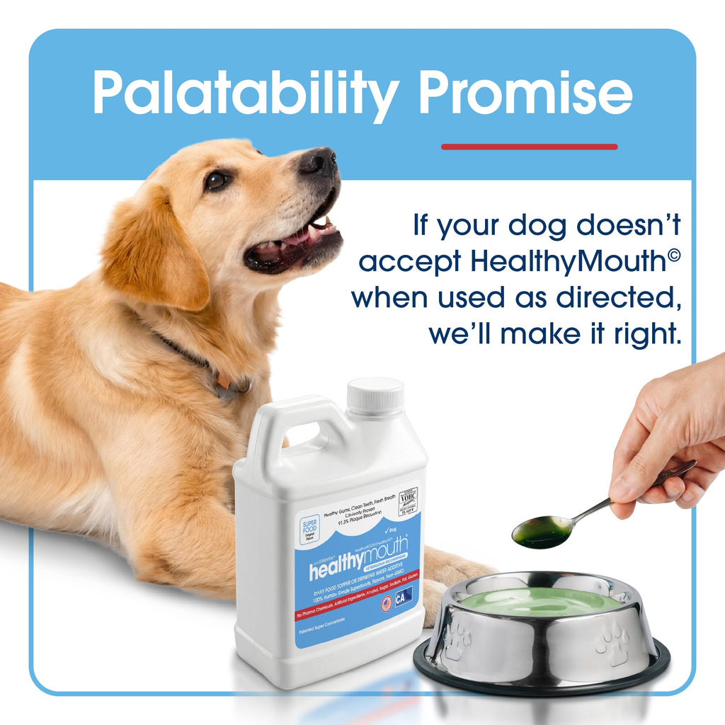 Dog Dental Water Additive product image 12