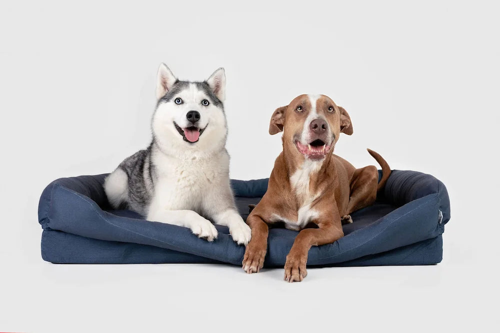 Orthopedic Dog Bed product image 12