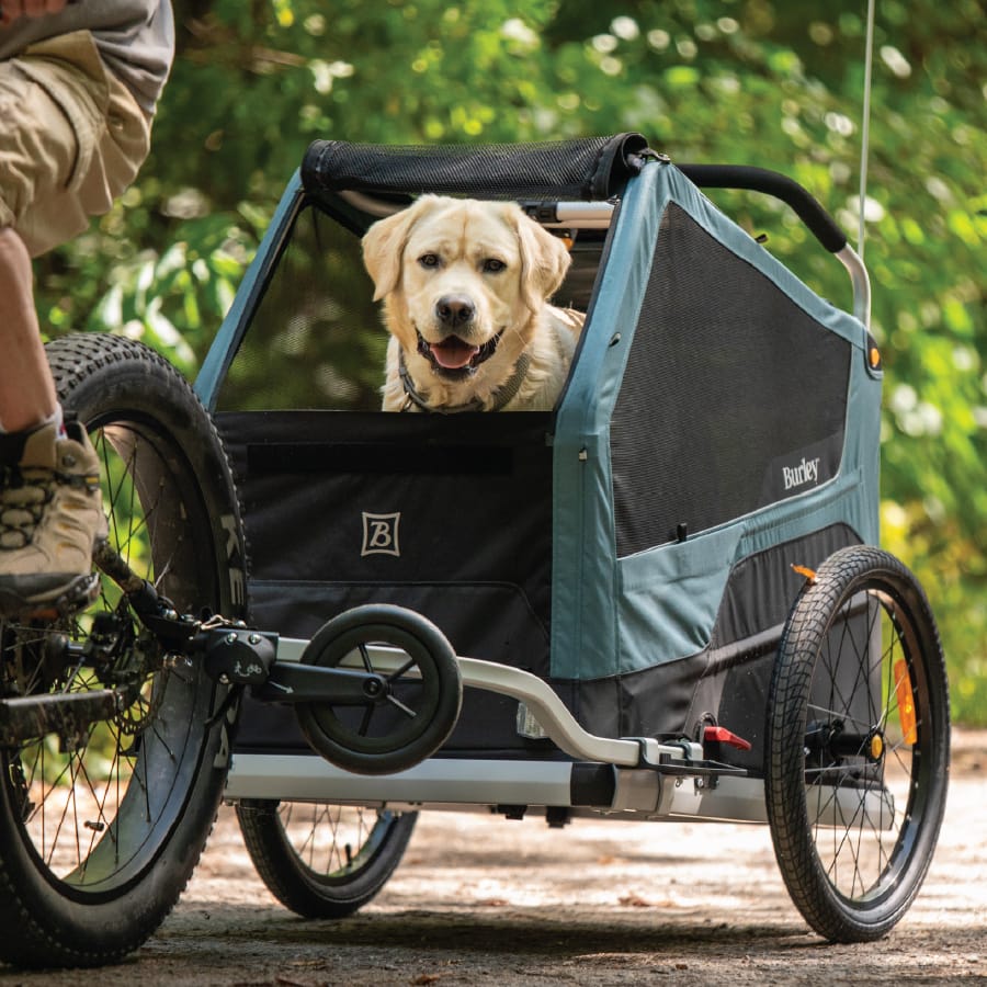 Convertible Dog Bike Trailer and Stroller for Medium or Large Dogs, Roll-Up Windows and 75- or 100-Lb Capacity source image 13