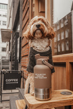 3-in-1 Dog Travel Water Bottle with 32 oz Reservoir and Two Detachable Bowls in Three Colors source image 13