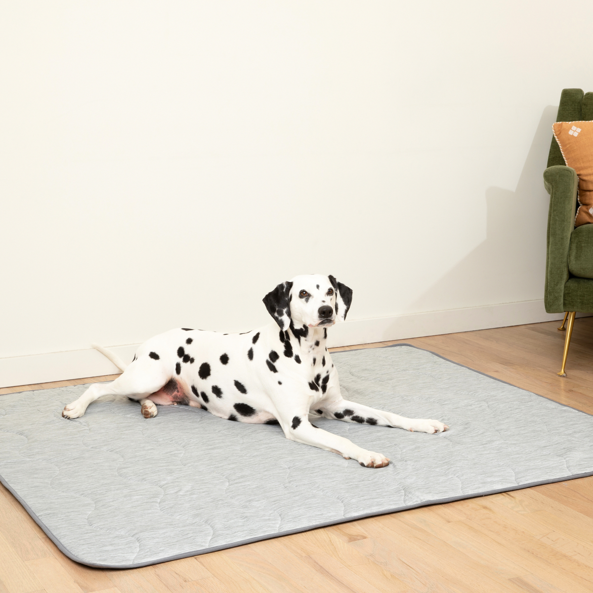 Cooling Waterproof Dog Blanket in Arctic Grey for Indoor Comfort and Furniture Protection, Two Sizes source image 13