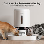 WiFi Automatic Pet Feeder, 5 Liter Timed Food Dispenser with App Scheduling and Single or Dual Bowls source image 13