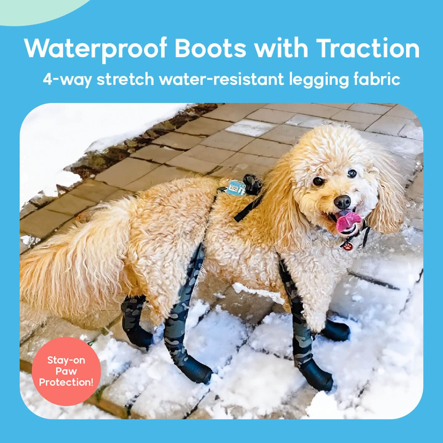 Waterproof Dog Boot Leggings for Winter Walks, Seam-Free TPE Paw Covers and Full-Leg Protection source image 13