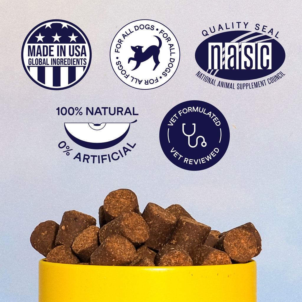 Dog Allergy and Digestive Supplement Bundle, Soft Chews for Seasonal Comfort and Everyday Gut Support source image 13