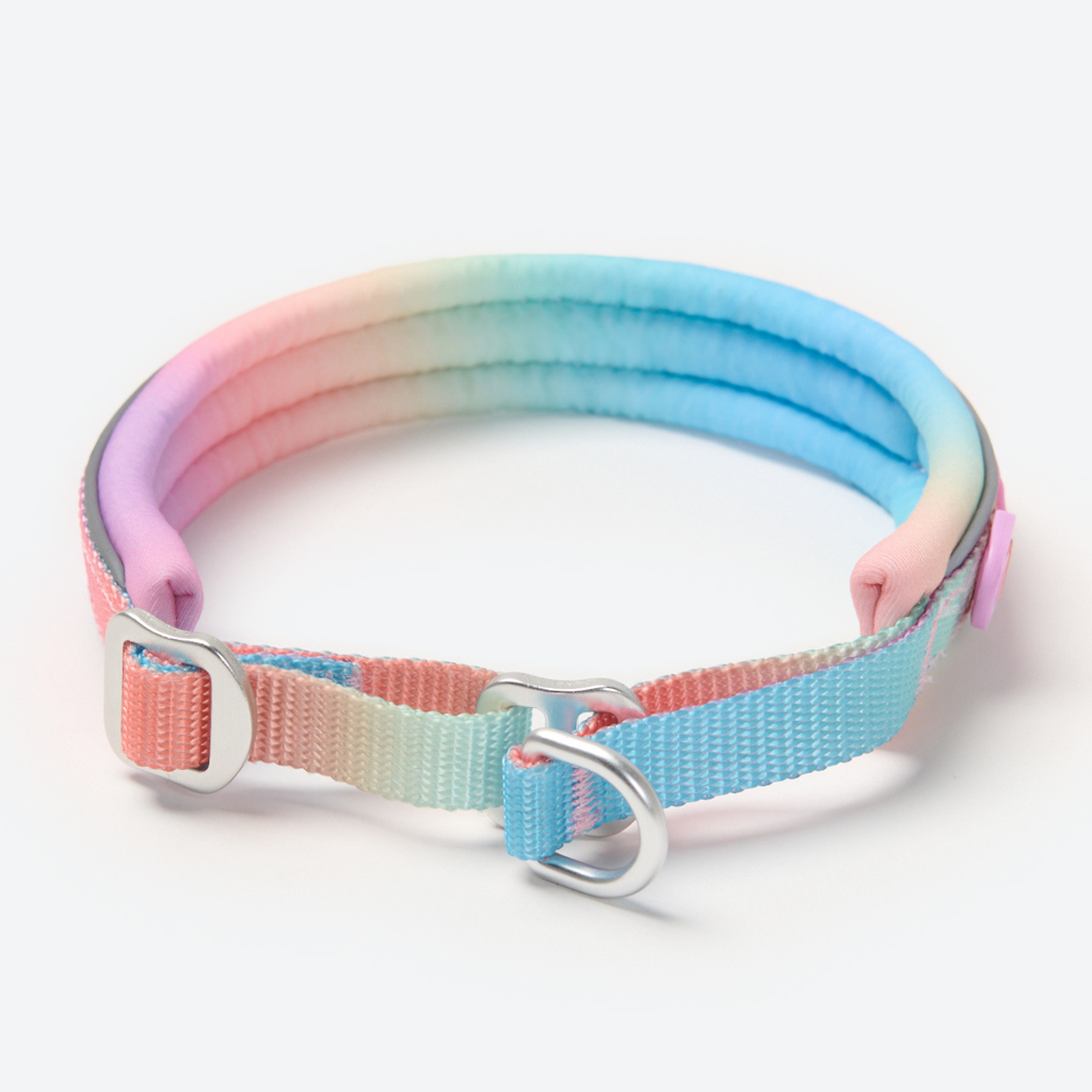 Cushioned Martingale Dog Collar for Gentle Leash Guidance, Limited-Cinch Design in Five Sizes source image 13