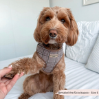 Adjustable Plaid Dog Harness for Comfortable Walks, Lightweight Polyester Design in Five Sizes source image 13