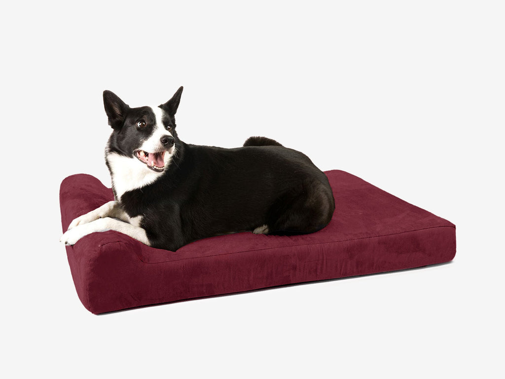 Orthopedic Dog Bed for Small and Medium Dogs, 4-Inch Layered Foam in Headrest and Sofa Styles source image 13
