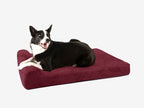 Orthopedic Dog Bed for Small and Medium Dogs, 4-Inch Layered Foam in Headrest and Sofa Styles source image 13