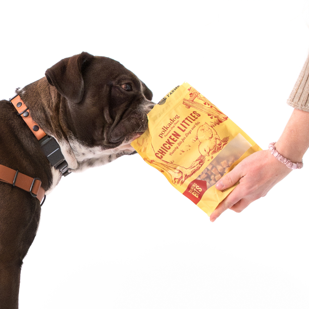 Chicken Training Dog Treats with Three Simple Ingredients for Small Rewards and Everyday Practice product image 13