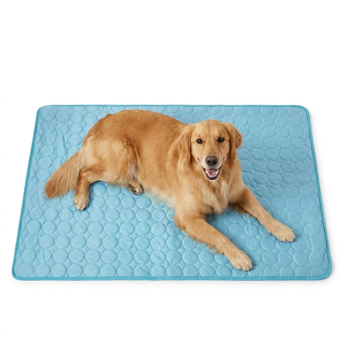 Self-Cooling Dog Mat in Three Crate-Friendly Sizes, Ice Silk Surface for Indoor, Car and Summer Rest source image 13