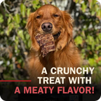 A golden retriever dog holding a piece of Redbarn Chopper in its mouth, with text overlay reading 'A CRUNCHY TREAT WITH A MEATY FLAVOR!'