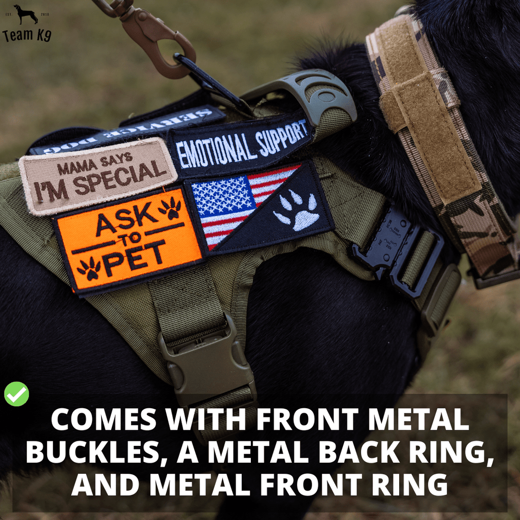 Heavy-Duty Tactical No-Pull Dog Harness with Dual D-Ring Control and Quick-Release Metal Buckles product image 13