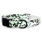 Breakaway Cat Collar product image 13