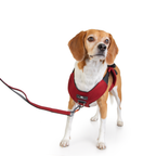 Crash-Tested Dog Car Safety Harness product image 13
