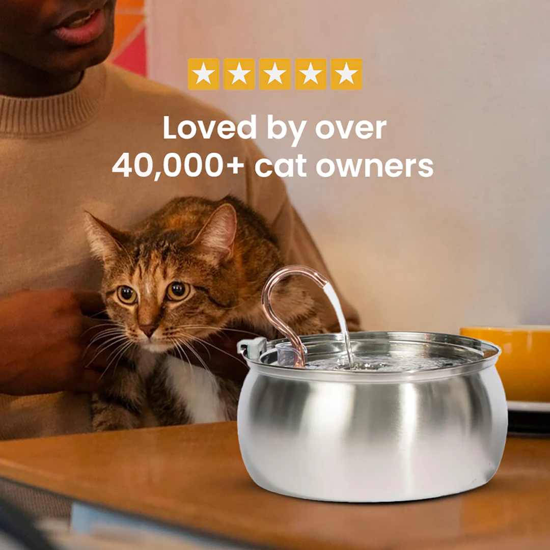 Cat Water Fountain Bundle product image 13