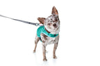 Martingale Dog Harness product image 13