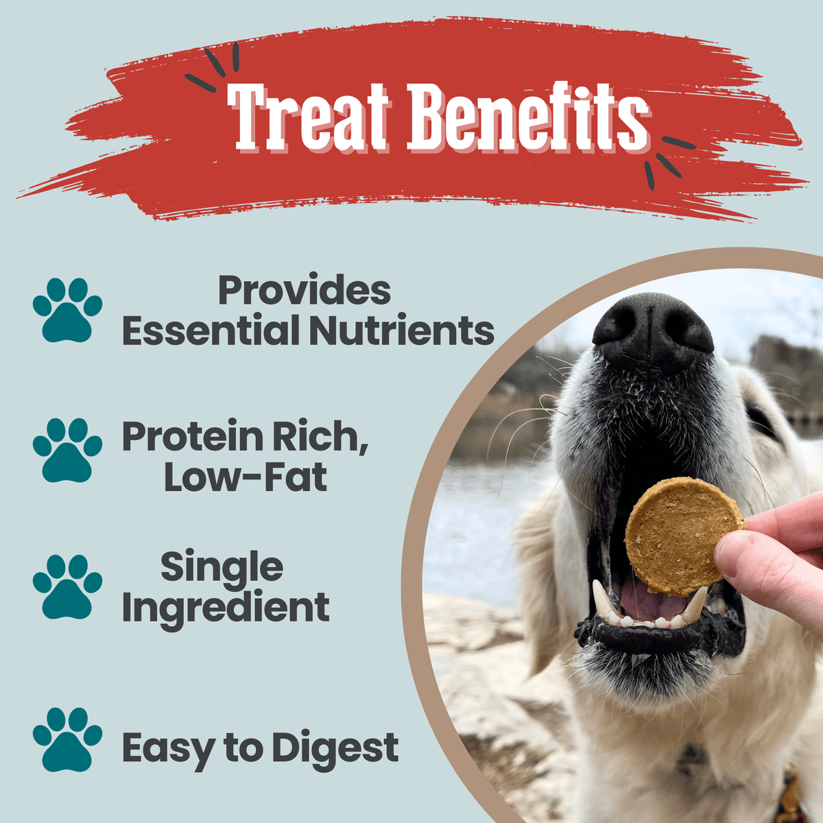 Walleye Fish Chip Dog Treats product image 13
