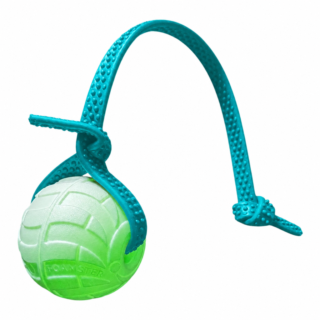 Glow EVA Dog Training Ball product image 13
