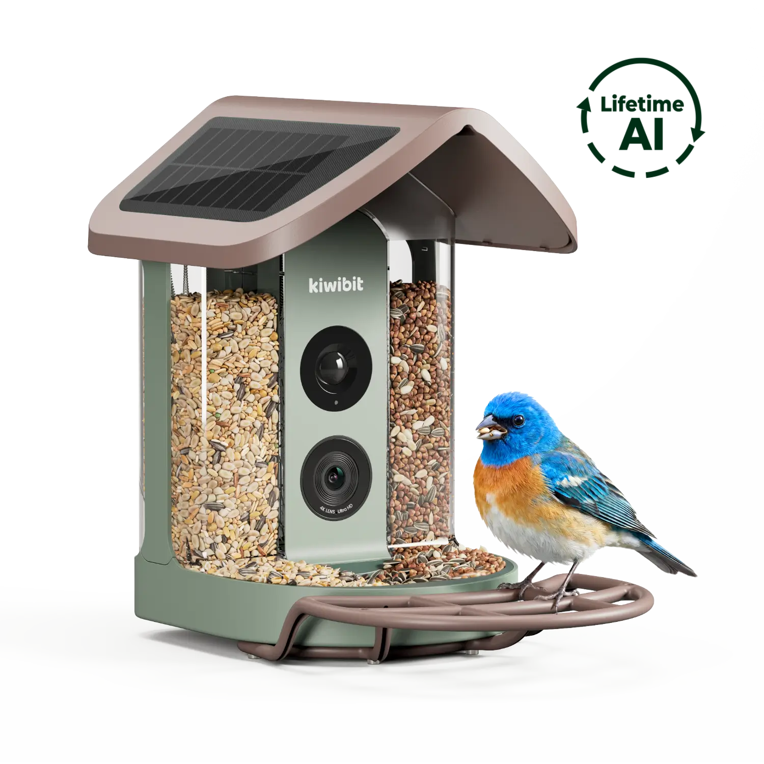 Smart Bird Feeder product image 13