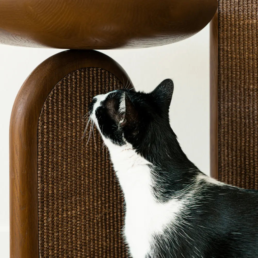 Cat Tree product image 13