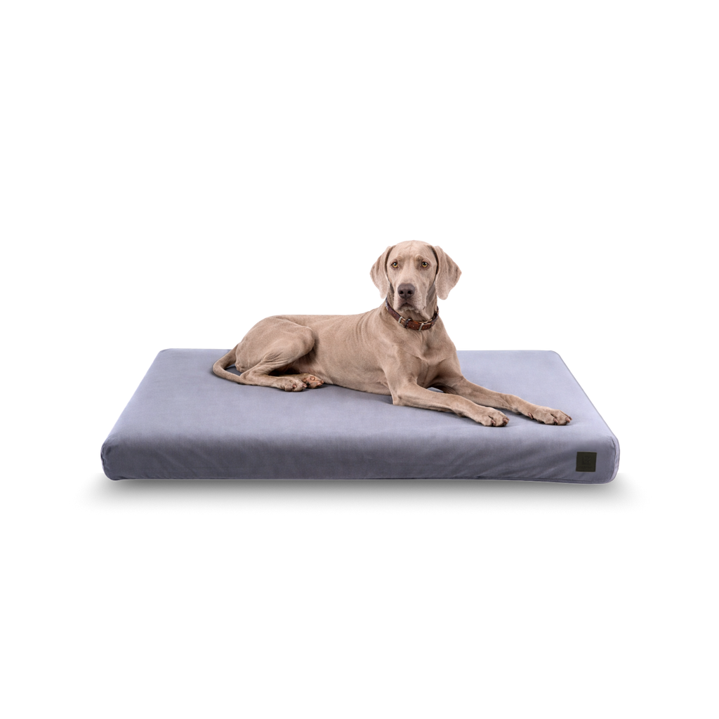 Orthopedic Dog Bed product image 13