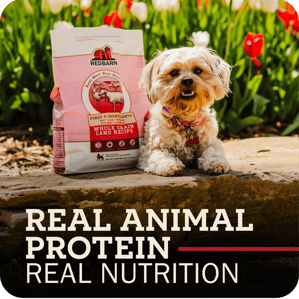 Grain-Free Beef and Lamb Dog Food product image 13