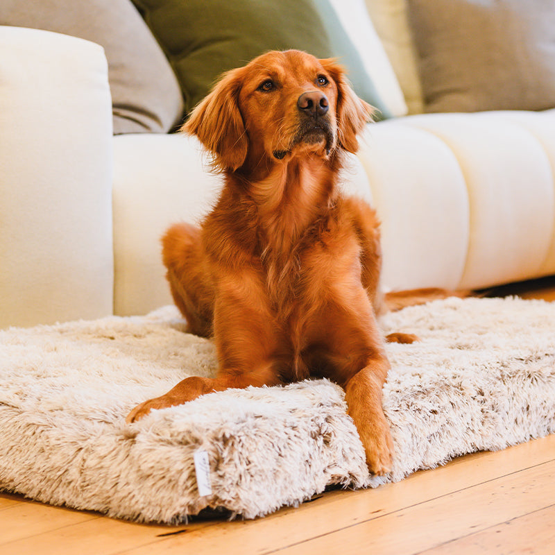 Memory Foam Dog Bed product image 13