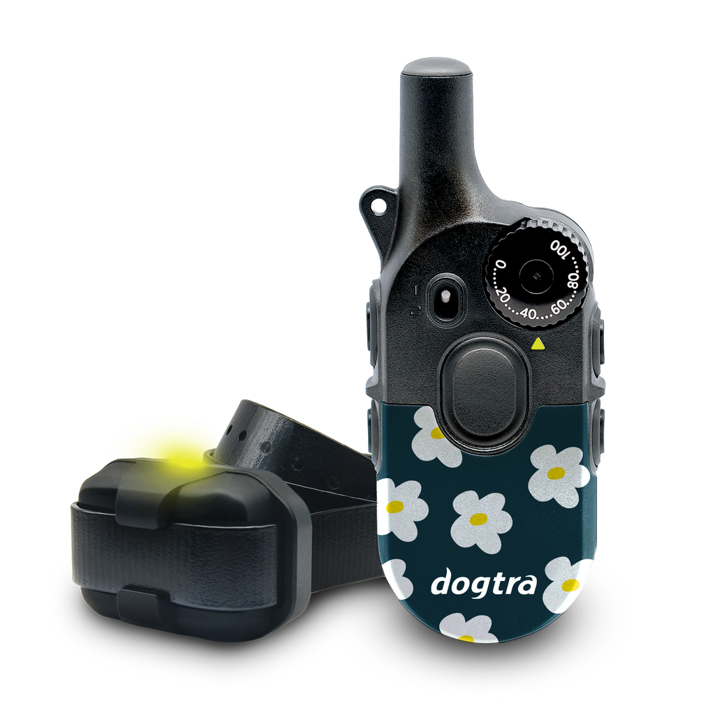 Dog Training Collar product image 13
