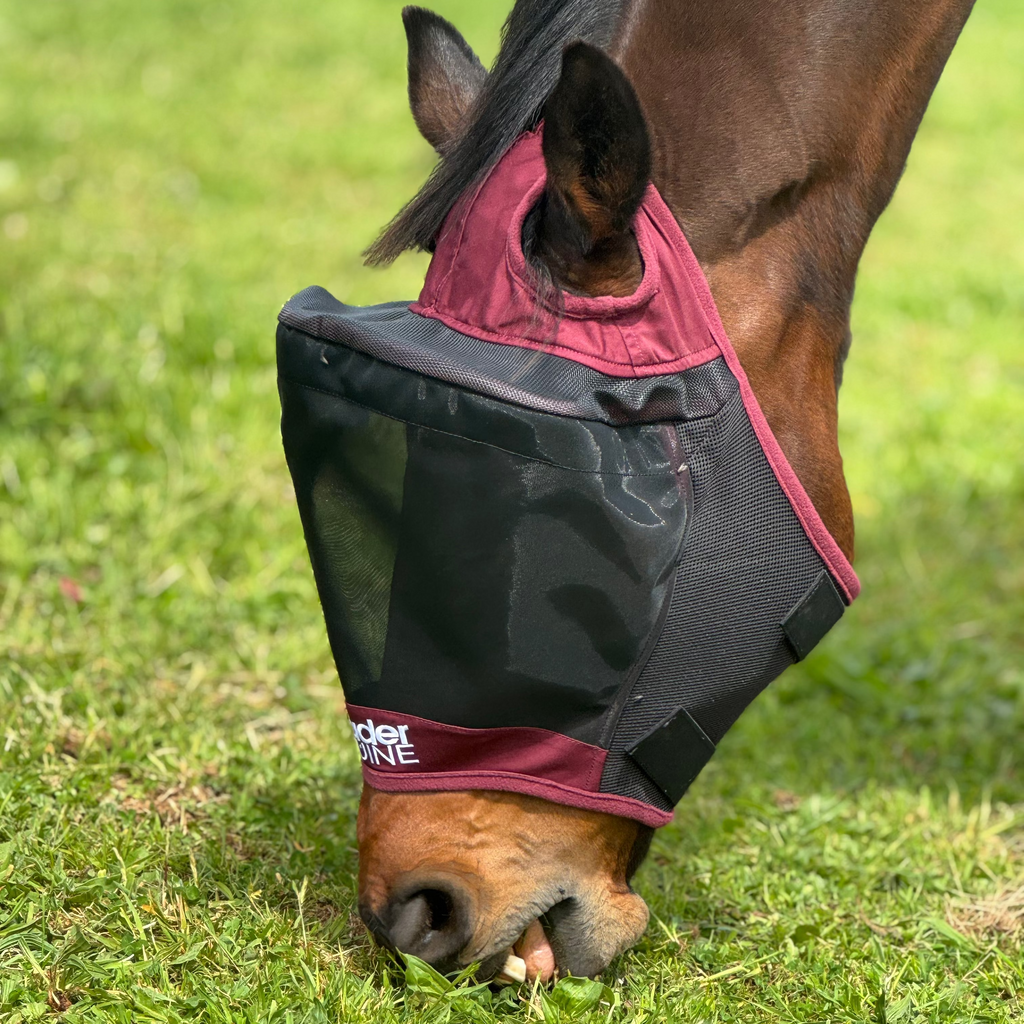 Horse Fly Mask product image 13