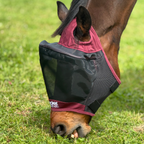 Horse Fly Mask product image 13