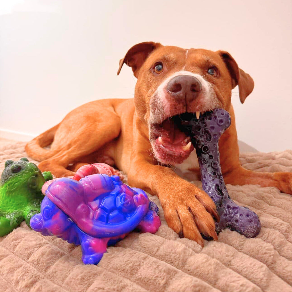 Dog Chew Toy Collection product image 13