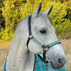 Nylon Horse Halter product image 13