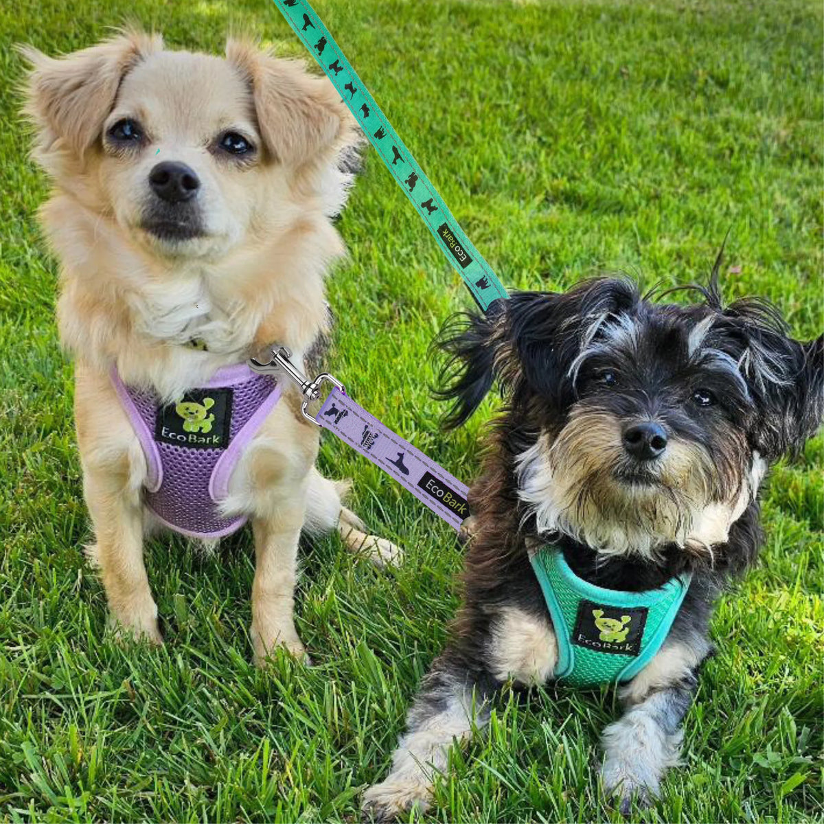 Step-In Dog Harness product image 13