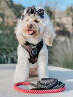 Adjustable Dog Harness product image 13