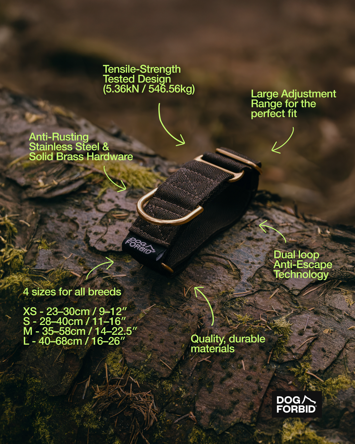 Martingale Dog Collar product image 13