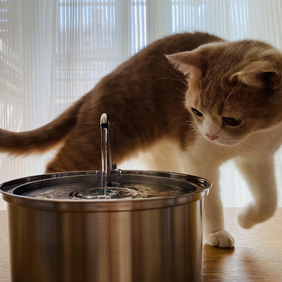 Pet Fountain Filters product image 13