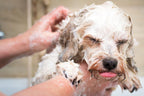 Dog Shampoo Bar product image 13